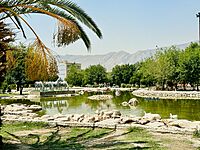 Rafi Garden of Kazerun