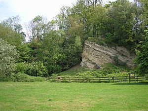 Ragstone outcrop, Dryhill Nature Reserve, Kent - geograph.org.uk - 168246