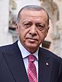 Recep Tayyip Erdogan in Ukraine
