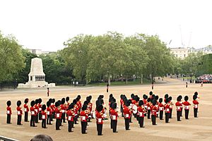Rehearsal of the Queen's Birthday parade, 3 June 2012 1