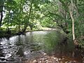 River Font - geograph.org.uk - 960019