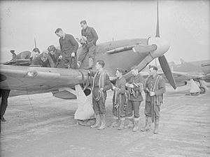 Royal Air Force 1939-1945- Fighter Command CH2530
