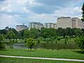 STL Central West End 01