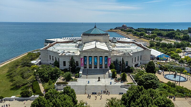 Shedd Aquarium E