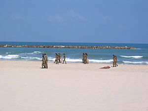 Soldiers cleaning beach