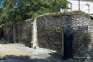 St Ives Priory Wall 2004 05 31