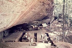 Stanfield-Worley Rock Shelter - Overview
