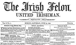 The Irish Felon.jpg