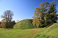 Thetford Castle, or Castle Mound - geograph.org.uk - 1028909