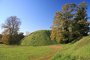 Thetford Castle, or Castle Mound - geograph.org.uk - 1028909