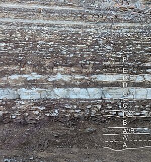 Tootuskihind läbilõige