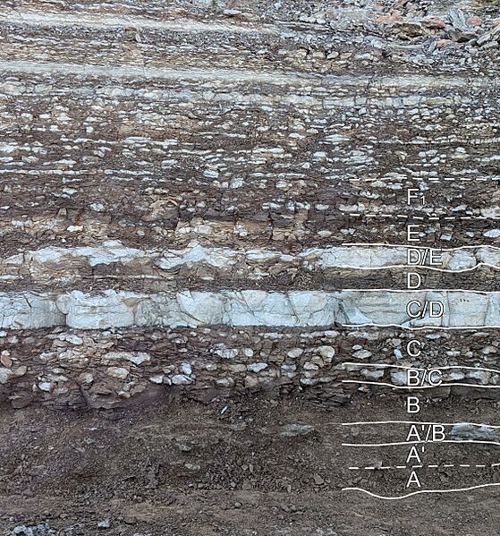 Tootuskihind läbilõige