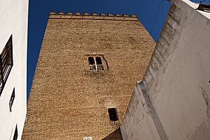Torre de los guzmanes 2013 001