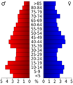 USA Wilson County, Kansas age pyramid