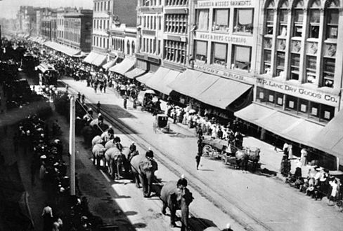 W side 300 block S Broadway during Pachyderm Parade 1905