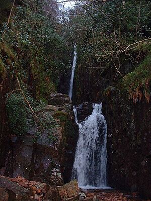 Waterfall Scale Force