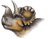 Wendiceratops restoration.PNG
