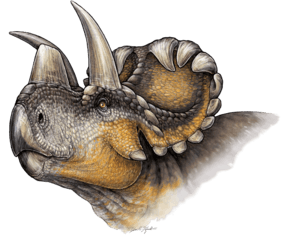 Wendiceratops restoration