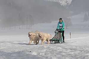 Werfenweng 2018 Kat D2 Michelle de Wilde-9406