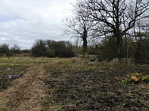 Weston Fen, Oxfordshire (2).jpg