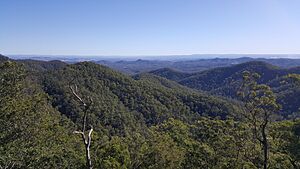 Westridge Outlook view, D'Aguilar National Park