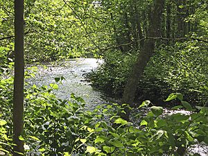 Whippany River