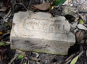 (1)Gore Hill brick