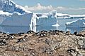 00 2118 Antarctica - Cuverville Island