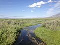 2014-06-10 16 36 43 View up the Humboldt River from Nevada State Route 230 (Starr Valley Road) in Deeth, Nevada