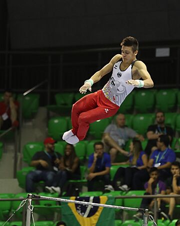 2019-06-27 1st FIG Artistic Gymnastics JWCH Men's All-around competition Subdivision 4 Horizontal bar (Martin Rulsch) 228