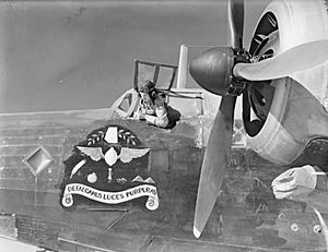 37 Squadron Wellington nose art Egypt WWII IWM CM 407