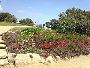 AH gardens