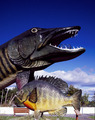 A 143-foot-long, walk-through, fiberglass-and-steel muskie, and a less-imposing fiberglass sunfish, at the National Fresh Water Fishing Hall of Fame, Hayward, Wisconsin LCCN2011634907