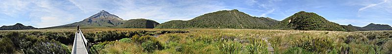 Ahukawakawa Swamp panorama