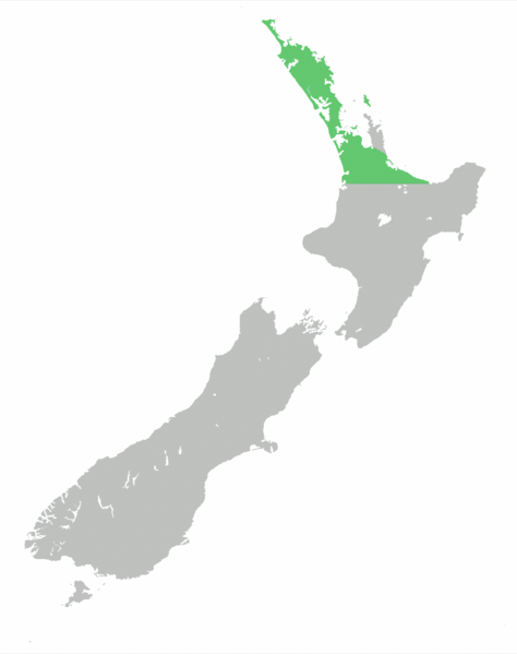 Alseuosmia quercifolia range