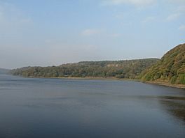 A reservoir surrounded by trees