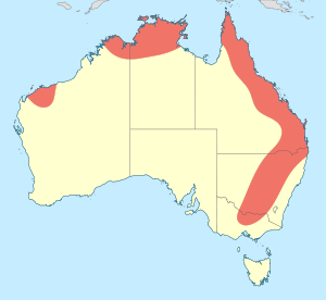 Antipodogomphus distribution map.svg
