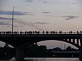 The image depicts hundreds of bats flying from under the Congress Avenue Bridge at dusk