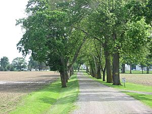 Bretz Farm driveway