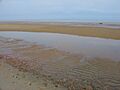 Brewster mudflat