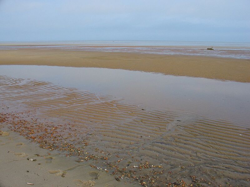 Brewster mudflat