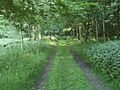 Bridleway In Ashton Wold - geograph.org.uk - 838237