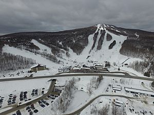 Bromley Mountain aerial