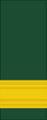 Canadian Army General Officer's Sleeves