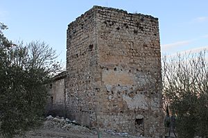 Castillo de Aldehuela 24J 01