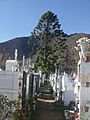 Cementerio Municipal de Salamanca, Chile