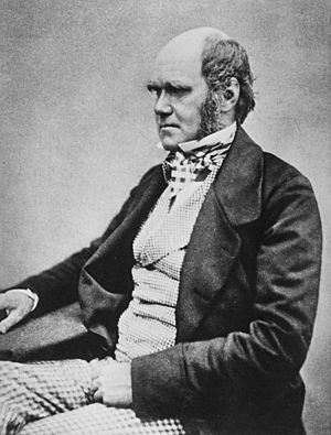 Charles Darwin istumassa crop.jpg