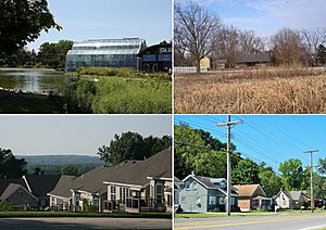 From top left: Butterfly House, Faust Park, Residential area, Old Chesterfield