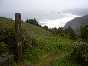 Coast trail at Boardman SP P4176a