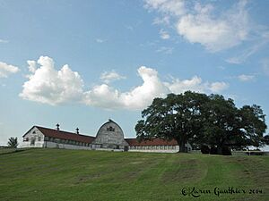DAIRY BARN